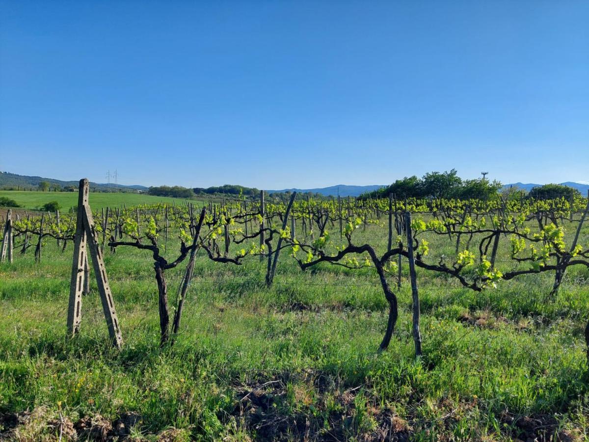 Tenuta I Lecci Террануова-Браччолини Экстерьер фото