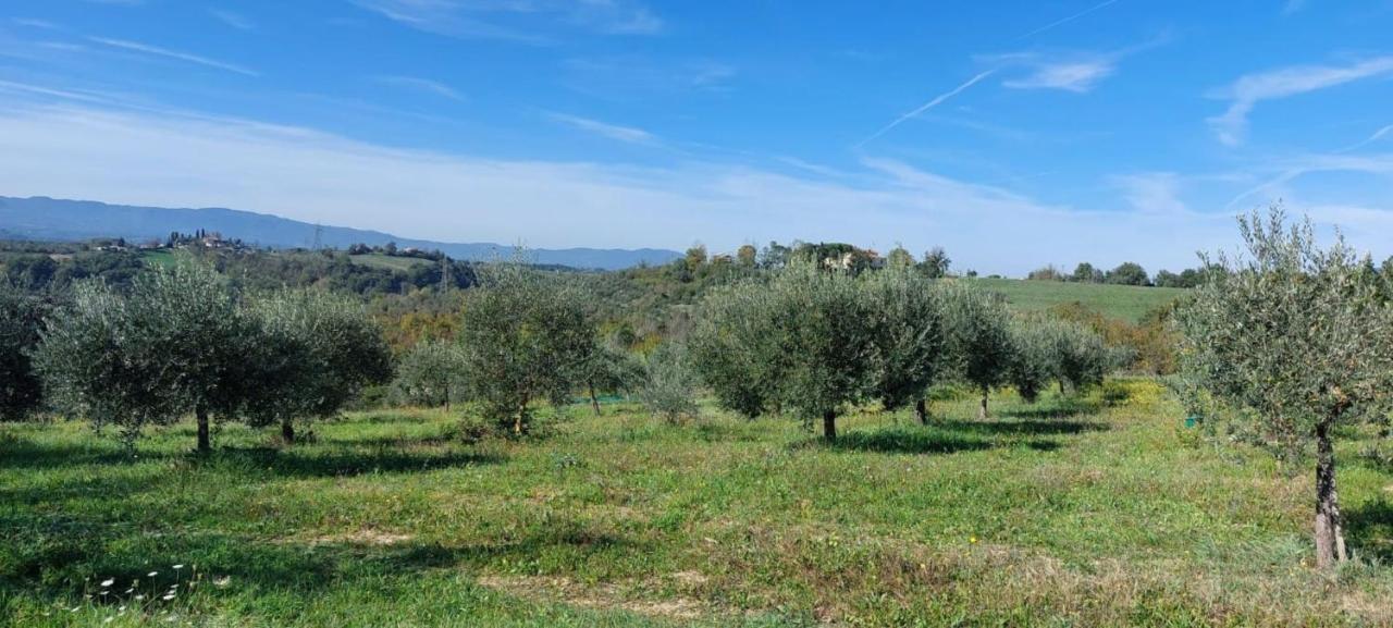 Tenuta I Lecci Террануова-Браччолини Экстерьер фото