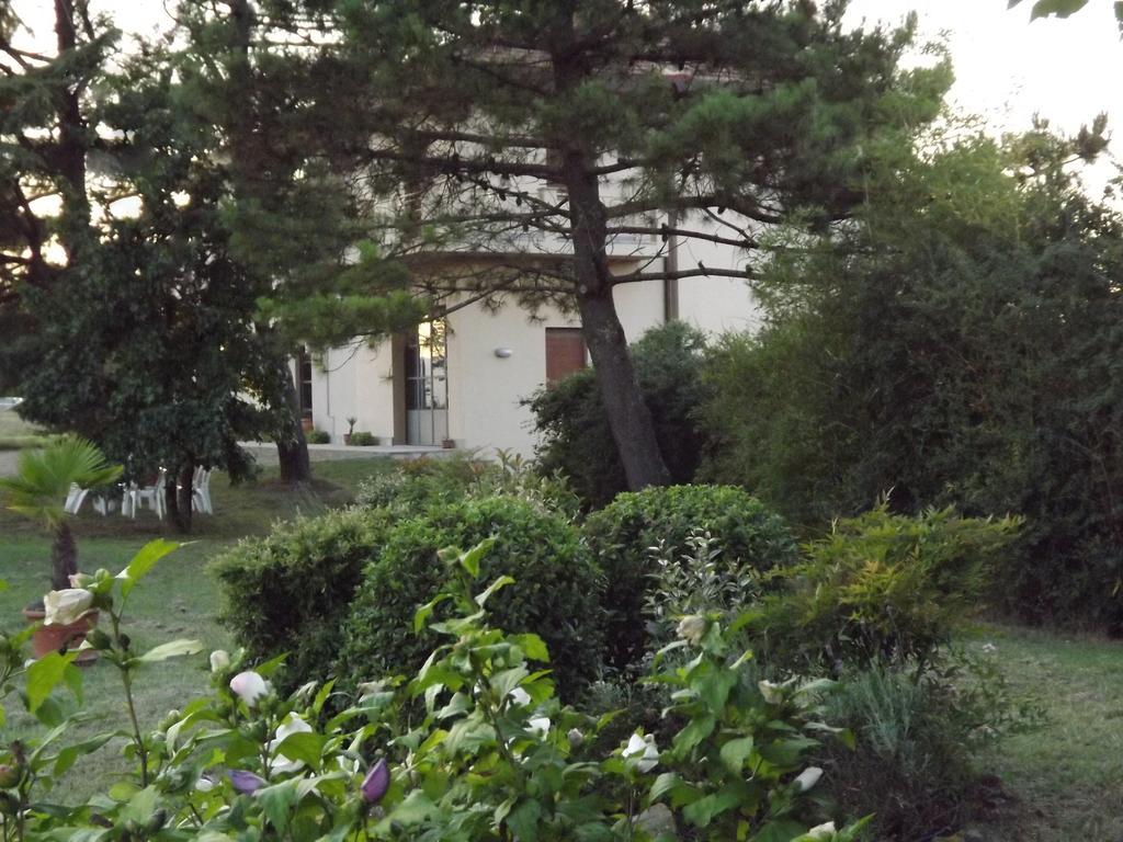 Tenuta I Lecci Террануова-Браччолини Экстерьер фото